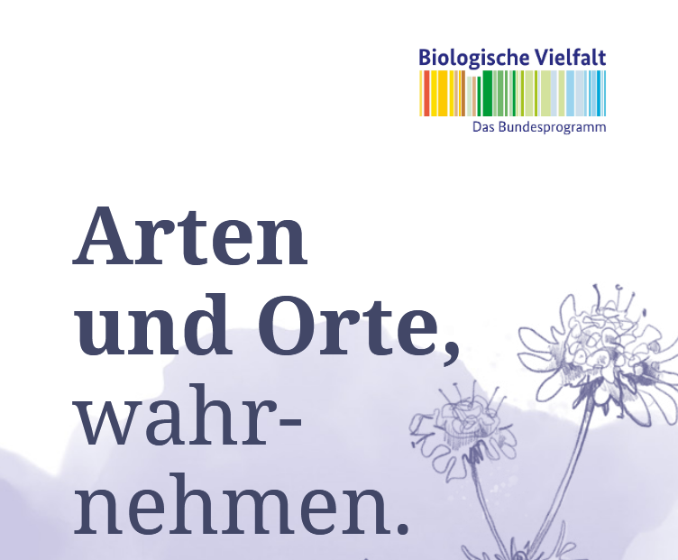 Aktuelle Ausstellung